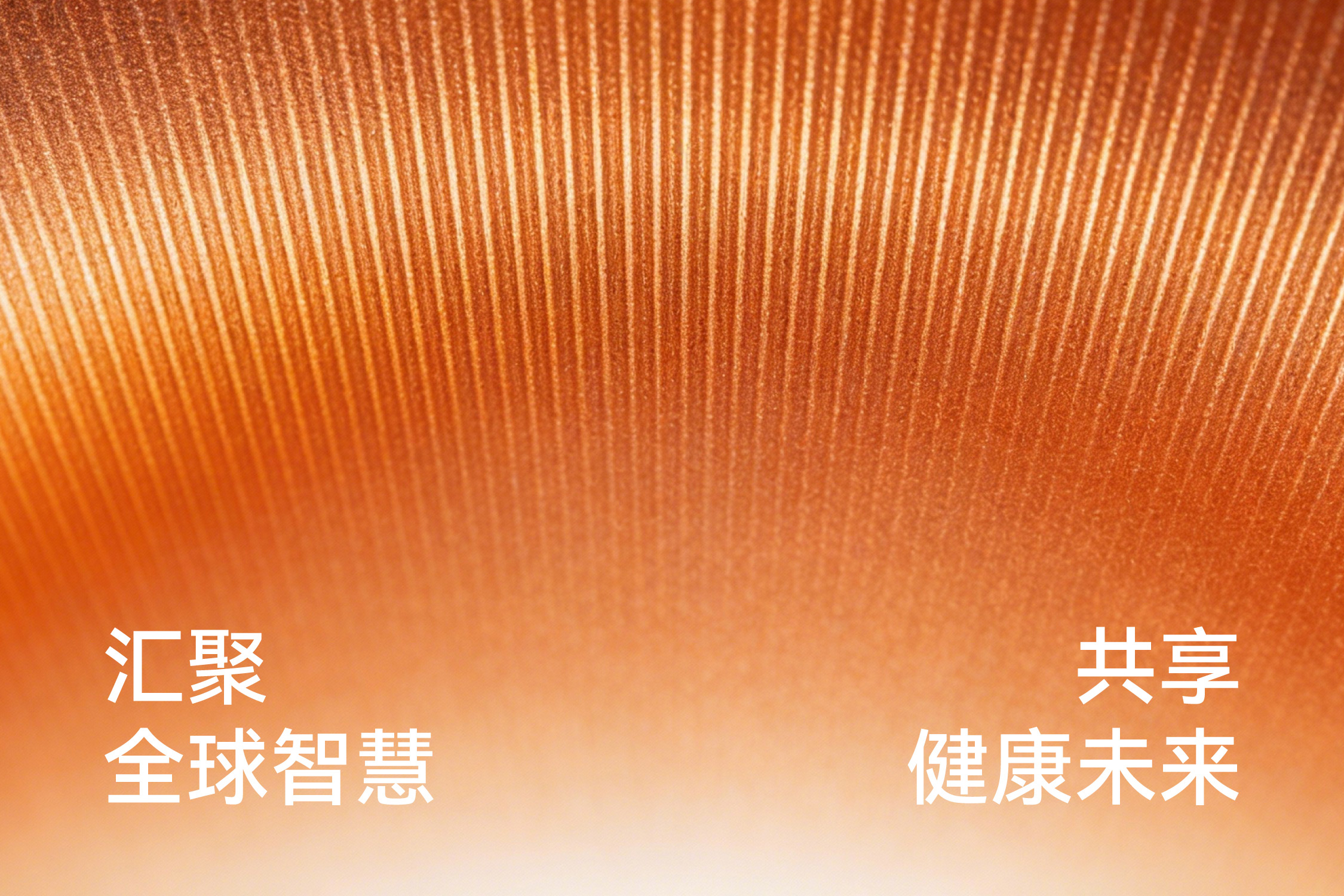 礼博士_画板-1-副本-6.jpg